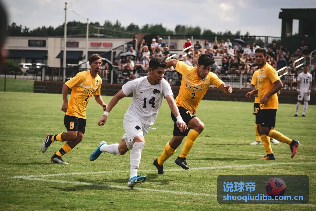 说球帝焦点赛事：上海海港对阵山东泰山中超对决
